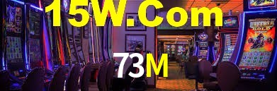 73M App Interface