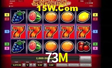 Sistemas de Segurança 73M