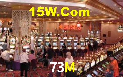 73m.com